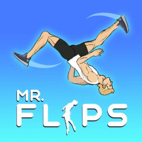 Mr Flip Mr Flip img